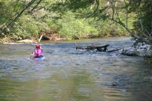 Best Blue Ridge Kayak Fishing Spots & Tips Certified Kayak Fishing Instructor – Learn Kayak Angling with Expert Guidance Best Blue Ridge Kayak Fishing Spots & Tips | Certified Kayak Fishing Instructor – Learn Kayak Angling with Expert Guidance