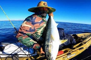 Best Cabo Kayak Fishing: Tours & Rentals Certified Kayak Fishing Instructor – Learn Kayak Angling with Expert Guidance Best Cabo Kayak Fishing: Tours & Rentals | Certified Kayak Fishing Instructor – Learn Kayak Angling with Expert Guidance