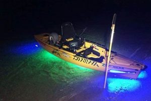 Best Lights for Kayak Fishing at Night: Guide Certified Kayak Fishing Instructor – Learn Kayak Angling with Expert Guidance Best Lights for Kayak Fishing at Night: Guide | Certified Kayak Fishing Instructor – Learn Kayak Angling with Expert Guidance