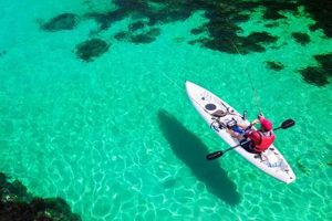 Ultimate Kayak Fishing: Dry Tortugas Guide Certified Kayak Fishing Instructor – Learn Kayak Angling with Expert Guidance Ultimate Kayak Fishing: Dry Tortugas Guide | Certified Kayak Fishing Instructor – Learn Kayak Angling with Expert Guidance