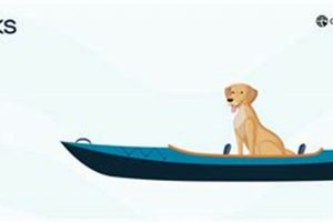 Top Fishing Kayaks For Your Dog: 2024 Guide Certified Kayak Fishing Instructor – Learn Kayak Angling with Expert Guidance Top Fishing Kayaks For Your Dog: 2024 Guide | Certified Kayak Fishing Instructor – Learn Kayak Angling with Expert Guidance