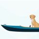 Top Fishing Kayaks For Your Dog: 2024 Guide | Certified Kayak Fishing Instructor – Learn Kayak Angling with Expert Guidance