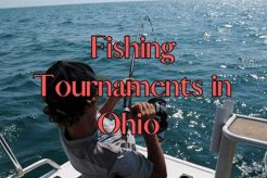 Top Kayak Fishing Tournaments in Ohio 2024 Certified Kayak Fishing Instructor – Learn Kayak Angling with Expert Guidance Top Kayak Fishing Tournaments in Ohio 2024 | Certified Kayak Fishing Instructor – Learn Kayak Angling with Expert Guidance
