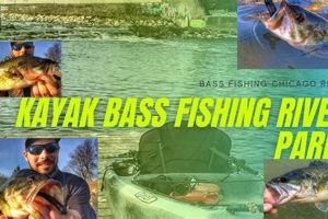 Best Kayak Fishing in Chicago: Top Spots & Tips Certified Kayak Fishing Instructor – Learn Kayak Angling with Expert Guidance Best Kayak Fishing in Chicago: Top Spots & Tips | Certified Kayak Fishing Instructor – Learn Kayak Angling with Expert Guidance