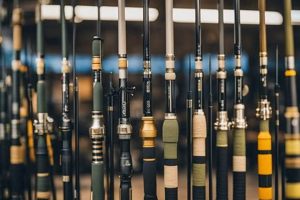 Best Short Kayak Fishing Rods: Top Picks & Guide Certified Kayak Fishing Instructor – Learn Kayak Angling with Expert Guidance Best Short Kayak Fishing Rods: Top Picks & Guide | Certified Kayak Fishing Instructor – Learn Kayak Angling with Expert Guidance
