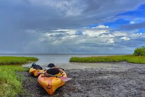 Port St Joe Kayak Fishing Certified Kayak Fishing Instructor – Learn Kayak Angling with Expert Guidance Port St Joe Kayak Fishing | Certified Kayak Fishing Instructor – Learn Kayak Angling with Expert Guidance
