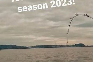Ultimate Kayak Fishing: San Francisco Bay Guide Certified Kayak Fishing Instructor – Learn Kayak Angling with Expert Guidance Ultimate Kayak Fishing: San Francisco Bay Guide | Certified Kayak Fishing Instructor – Learn Kayak Angling with Expert Guidance