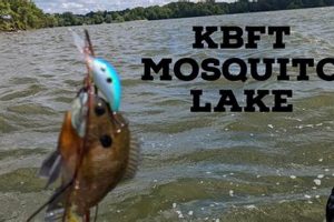 Ultimate Buckeye Kayak Fishing Guide Certified Kayak Fishing Instructor – Learn Kayak Angling with Expert Guidance Ultimate Buckeye Kayak Fishing Guide | Certified Kayak Fishing Instructor – Learn Kayak Angling with Expert Guidance