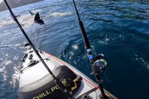 Epic Kayak Fishing for Great White Sharks! Certified Kayak Fishing Instructor – Learn Kayak Angling with Expert Guidance Epic Kayak Fishing for Great White Sharks! | Certified Kayak Fishing Instructor – Learn Kayak Angling with Expert Guidance