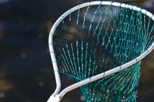 Best Fishing Kayak Nets: Top Picks & Buyer's Guide Certified Kayak Fishing Instructor – Learn Kayak Angling with Expert Guidance Best Fishing Kayak Nets: Top Picks & Buyer's Guide | Certified Kayak Fishing Instructor – Learn Kayak Angling with Expert Guidance