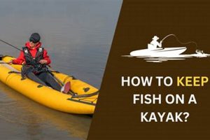 Kayak Fishing: Keep Your Catch Fresh All Day Certified Kayak Fishing Instructor – Learn Kayak Angling with Expert Guidance Kayak Fishing: Keep Your Catch Fresh All Day | Certified Kayak Fishing Instructor – Learn Kayak Angling with Expert Guidance