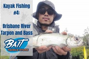Best Kayak Fishing Spots in Brisbane QLD Certified Kayak Fishing Instructor – Learn Kayak Angling with Expert Guidance Best Kayak Fishing Spots in Brisbane QLD | Certified Kayak Fishing Instructor – Learn Kayak Angling with Expert Guidance