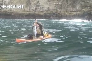 Conquer Rough Water Kayak Fishing Like a Pro Certified Kayak Fishing Instructor – Learn Kayak Angling with Expert Guidance Conquer Rough Water Kayak Fishing Like a Pro | Certified Kayak Fishing Instructor – Learn Kayak Angling with Expert Guidance