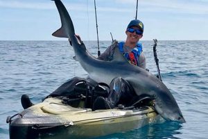 Ultimate Kayak Shark Fishing Guide Certified Kayak Fishing Instructor – Learn Kayak Angling with Expert Guidance Ultimate Kayak Shark Fishing Guide | Certified Kayak Fishing Instructor – Learn Kayak Angling with Expert Guidance
