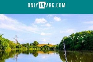 Best Kayak Fishing Spots in Arkansas Certified Kayak Fishing Instructor – Learn Kayak Angling with Expert Guidance Best Kayak Fishing Spots in Arkansas | Certified Kayak Fishing Instructor – Learn Kayak Angling with Expert Guidance