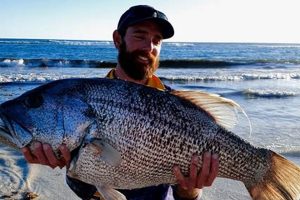 Top Kayak Fishing Spots in Western Australia Certified Kayak Fishing Instructor – Learn Kayak Angling with Expert Guidance Top Kayak Fishing Spots in Western Australia | Certified Kayak Fishing Instructor – Learn Kayak Angling with Expert Guidance