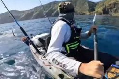 Ultimate Great White Kayak Fishing Guide Certified Kayak Fishing Instructor – Learn Kayak Angling with Expert Guidance Ultimate Great White Kayak Fishing Guide | Certified Kayak Fishing Instructor – Learn Kayak Angling with Expert Guidance