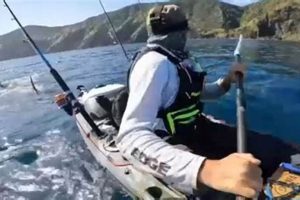 Ultimate Great White Kayak Fishing Guide Certified Kayak Fishing Instructor – Learn Kayak Angling with Expert Guidance Ultimate Great White Kayak Fishing Guide | Certified Kayak Fishing Instructor – Learn Kayak Angling with Expert Guidance