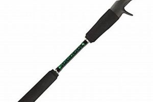 Best Kayak Fishing Rods: Top Picks & Guide Certified Kayak Fishing Instructor – Learn Kayak Angling with Expert Guidance Best Kayak Fishing Rods: Top Picks & Guide | Certified Kayak Fishing Instructor – Learn Kayak Angling with Expert Guidance