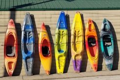 Top Fishing Kayak Brands List (2024) Certified Kayak Fishing Instructor – Learn Kayak Angling with Expert Guidance Top Fishing Kayak Brands List (2024) | Certified Kayak Fishing Instructor – Learn Kayak Angling with Expert Guidance