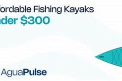 Fishing Kayaks Under $300 Certified Kayak Fishing Instructor – Learn Kayak Angling with Expert Guidance Fishing Kayaks Under $300 | Certified Kayak Fishing Instructor – Learn Kayak Angling with Expert Guidance