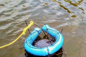 Best Floating Fish Baskets for Kayaks Certified Kayak Fishing Instructor – Learn Kayak Angling with Expert Guidance Best Floating Fish Baskets for Kayaks | Certified Kayak Fishing Instructor – Learn Kayak Angling with Expert Guidance
