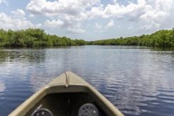 Ultimate Chokoloskee Kayak Fishing Guide Certified Kayak Fishing Instructor – Learn Kayak Angling with Expert Guidance Ultimate Chokoloskee Kayak Fishing Guide | Certified Kayak Fishing Instructor – Learn Kayak Angling with Expert Guidance