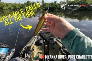Top Kayak Fishing Spots Port Charlotte FL Certified Kayak Fishing Instructor – Learn Kayak Angling with Expert Guidance Top Kayak Fishing Spots Port Charlotte FL | Certified Kayak Fishing Instructor – Learn Kayak Angling with Expert Guidance