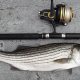 Top Kayak Rods for Striper Fishing Success | Certified Kayak Fishing Instructor – Learn Kayak Angling with Expert Guidance