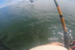 Kayak Fishing: Hooked a Great White Shark! Certified Kayak Fishing Instructor – Learn Kayak Angling with Expert Guidance Kayak Fishing: Hooked a Great White Shark! | Certified Kayak Fishing Instructor – Learn Kayak Angling with Expert Guidance