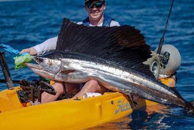 Top Kayak Fishing Charters Near Me: Book Now! Certified Kayak Fishing Instructor – Learn Kayak Angling with Expert Guidance Top Kayak Fishing Charters Near Me: Book Now! | Certified Kayak Fishing Instructor – Learn Kayak Angling with Expert Guidance