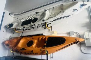 Best Cobra Fish & Dive Kayak Prices & Deals Certified Kayak Fishing Instructor – Learn Kayak Angling with Expert Guidance Best Cobra Fish & Dive Kayak Prices & Deals | Certified Kayak Fishing Instructor – Learn Kayak Angling with Expert Guidance