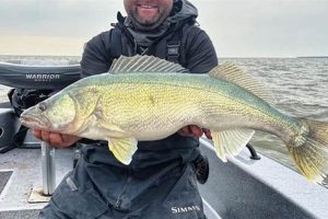 Kayak Walleye Fishing: Tips & Techniques Certified Kayak Fishing Instructor – Learn Kayak Angling with Expert Guidance Kayak Walleye Fishing: Tips & Techniques | Certified Kayak Fishing Instructor – Learn Kayak Angling with Expert Guidance