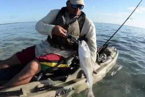Top South Padre Island Kayak Fishing Guides Certified Kayak Fishing Instructor – Learn Kayak Angling with Expert Guidance Top South Padre Island Kayak Fishing Guides | Certified Kayak Fishing Instructor – Learn Kayak Angling with Expert Guidance