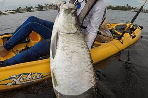 Tarpon Kayak Fishing Certified Kayak Fishing Instructor – Learn Kayak Angling with Expert Guidance Tarpon Kayak Fishing | Certified Kayak Fishing Instructor – Learn Kayak Angling with Expert Guidance