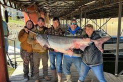 Best Fish Paddle for Kayaks: Top Picks & Guide Certified Kayak Fishing Instructor – Learn Kayak Angling with Expert Guidance Best Fish Paddle for Kayaks: Top Picks & Guide | Certified Kayak Fishing Instructor – Learn Kayak Angling with Expert Guidance