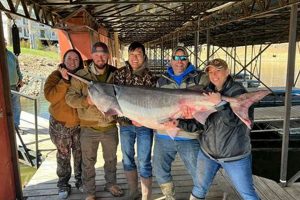 Best Fish Paddle for Kayaks: Top Picks & Guide Certified Kayak Fishing Instructor – Learn Kayak Angling with Expert Guidance Best Fish Paddle for Kayaks: Top Picks & Guide | Certified Kayak Fishing Instructor – Learn Kayak Angling with Expert Guidance