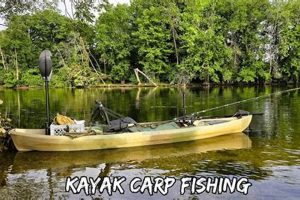 Kayak Carp Fishing: Tips & Techniques Certified Kayak Fishing Instructor – Learn Kayak Angling with Expert Guidance Kayak Carp Fishing: Tips & Techniques | Certified Kayak Fishing Instructor – Learn Kayak Angling with Expert Guidance