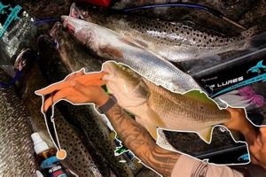 Best Arroyo City Kayak Fishing: Guide & Tips Certified Kayak Fishing Instructor – Learn Kayak Angling with Expert Guidance Best Arroyo City Kayak Fishing: Guide & Tips | Certified Kayak Fishing Instructor – Learn Kayak Angling with Expert Guidance