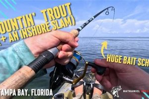 Kayak Fishing Tampa Bay Certified Kayak Fishing Instructor – Learn Kayak Angling with Expert Guidance Kayak Fishing Tampa Bay | Certified Kayak Fishing Instructor – Learn Kayak Angling with Expert Guidance