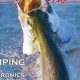 Top Angler Mag Picks for Kayak Fishing | Certified Kayak Fishing Instructor – Learn Kayak Angling with Expert Guidance