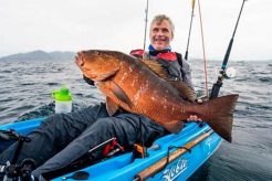 Dive & Kayak Fishing: Los Buzos Guide Certified Kayak Fishing Instructor – Learn Kayak Angling with Expert Guidance Dive & Kayak Fishing: Los Buzos Guide | Certified Kayak Fishing Instructor – Learn Kayak Angling with Expert Guidance