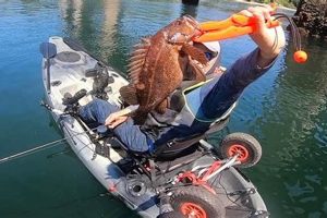 Best Kayak Fishing Spots: Puget Sound Guide Certified Kayak Fishing Instructor – Learn Kayak Angling with Expert Guidance Best Kayak Fishing Spots: Puget Sound Guide | Certified Kayak Fishing Instructor – Learn Kayak Angling with Expert Guidance