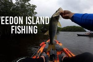 Best Weedon Island Kayak Fishing Spots & Tips Certified Kayak Fishing Instructor – Learn Kayak Angling with Expert Guidance Best Weedon Island Kayak Fishing Spots & Tips | Certified Kayak Fishing Instructor – Learn Kayak Angling with Expert Guidance