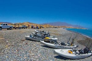 Ultimate Cedros Island Kayak Fishing Adventure Certified Kayak Fishing Instructor – Learn Kayak Angling with Expert Guidance Ultimate Cedros Island Kayak Fishing Adventure | Certified Kayak Fishing Instructor – Learn Kayak Angling with Expert Guidance