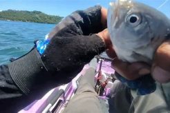 Best Kayak Fishing in the Philippines: A Guide Certified Kayak Fishing Instructor – Learn Kayak Angling with Expert Guidance Best Kayak Fishing in the Philippines: A Guide | Certified Kayak Fishing Instructor – Learn Kayak Angling with Expert Guidance