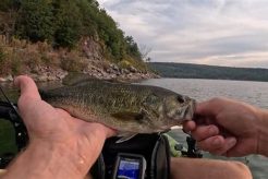 Best Kayak Fishing Spots in Wisconsin Certified Kayak Fishing Instructor – Learn Kayak Angling with Expert Guidance Best Kayak Fishing Spots in Wisconsin | Certified Kayak Fishing Instructor – Learn Kayak Angling with Expert Guidance