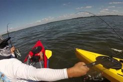 Ultimate Fort De Soto Kayak Fishing Guide Certified Kayak Fishing Instructor – Learn Kayak Angling with Expert Guidance Ultimate Fort De Soto Kayak Fishing Guide | Certified Kayak Fishing Instructor – Learn Kayak Angling with Expert Guidance