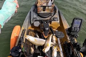 Ultimate Biscayne Bay Kayak Fishing Guide Certified Kayak Fishing Instructor – Learn Kayak Angling with Expert Guidance Ultimate Biscayne Bay Kayak Fishing Guide | Certified Kayak Fishing Instructor – Learn Kayak Angling with Expert Guidance