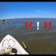 Best Kayak Fishing Dauphin Island: Guide | Certified Kayak Fishing Instructor – Learn Kayak Angling with Expert Guidance